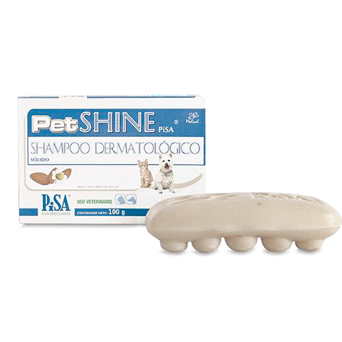 Petshine shampoo solido