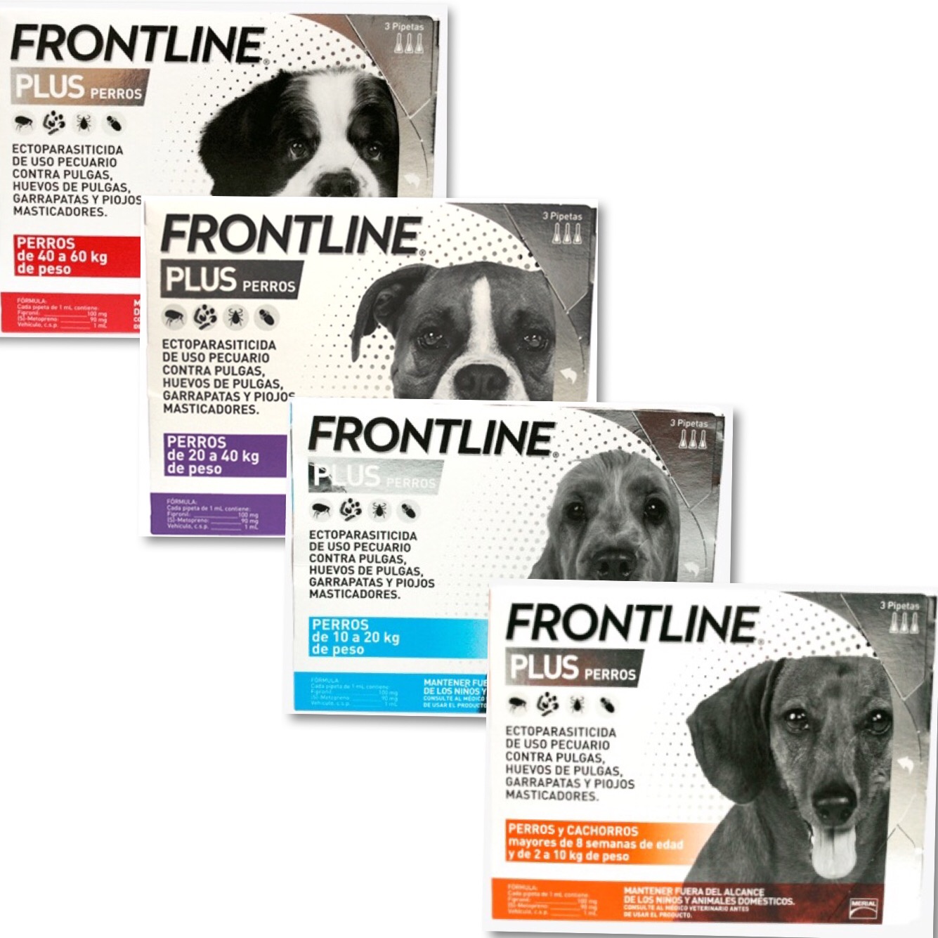 Frontline Plus Tres Pipetas