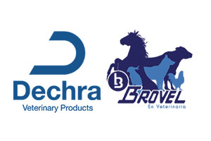 Dechra Brovel